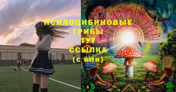 гидра Алексеевка